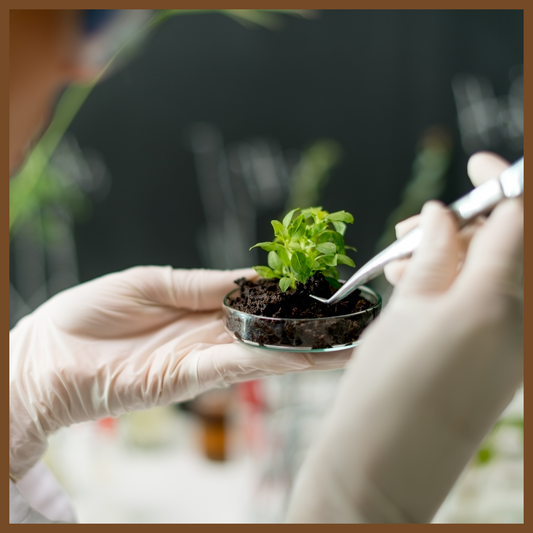 Cambridge iGCSE Biology